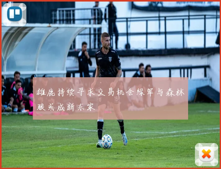雄鹿持续寻求交易机会绿军与森林狼或成新东家