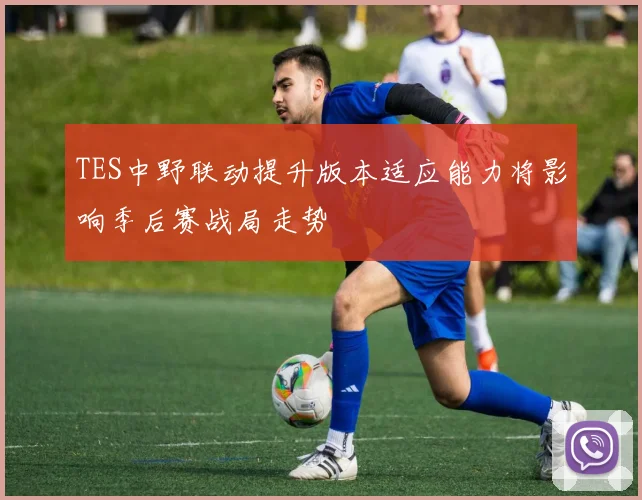 TES中野联动提升版本适应能力将影响季后赛战局走势